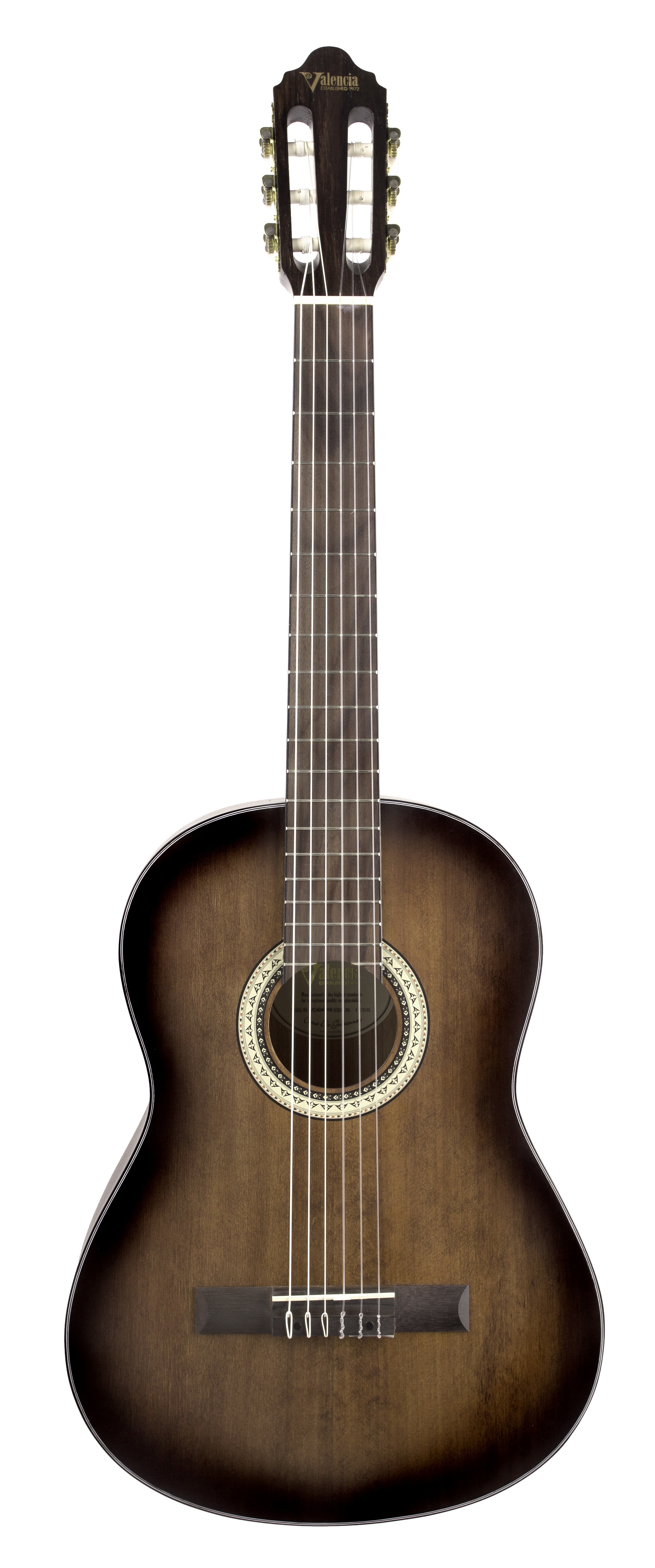 Klasik Gitar 4/4 VC404HSB