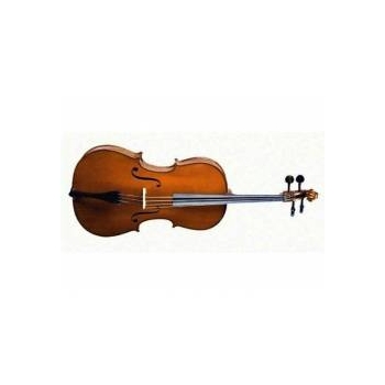 CELLO 3/4 SCALE +KILIF+YAY, KARARTILMIŞ AKÇAAĞAÇ B