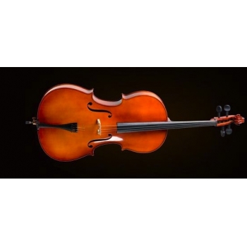 CELLO KILIFLI+YAY+REÇİNE, 3/4 SCALE, FRENCH STYLE,