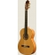 FLAMENCO ELEKTRO KLASİK GİTAR FISHMAN PREFIX PRO B